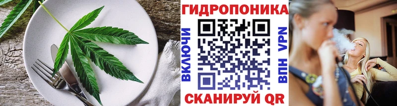 Canna-Cookies конопля Сокол