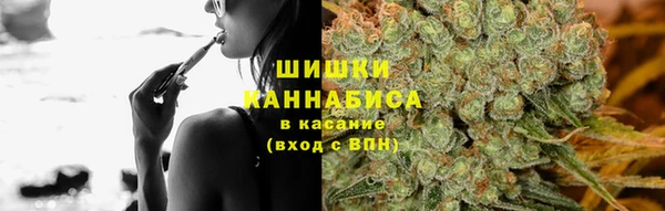 ГАЛЛЮЦИНОГЕННЫЕ ГРИБЫ Лихославль