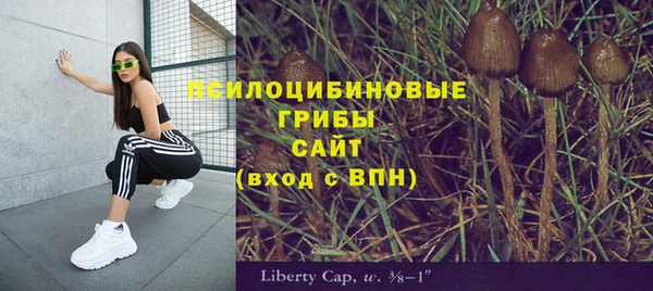прущие крисы Липки