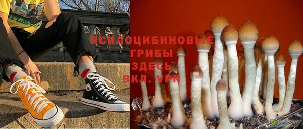 прущие крисы Липки
