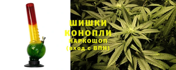 ГАЛЛЮЦИНОГЕННЫЕ ГРИБЫ Лихославль
