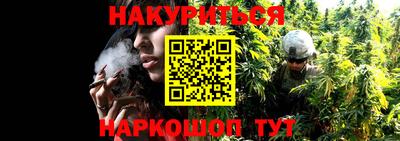 спиды Лесосибирск