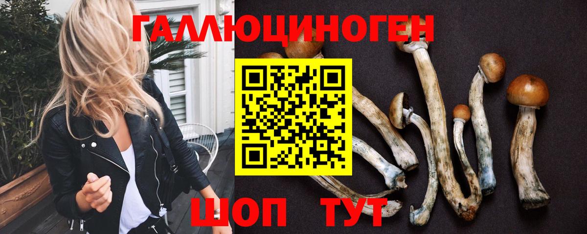 Псилоцибиновые грибы MAGIC MUSHROOMS  где найти наркотики  Сокол  Псилоцибиновые грибы мицелий  Вход с VPN 