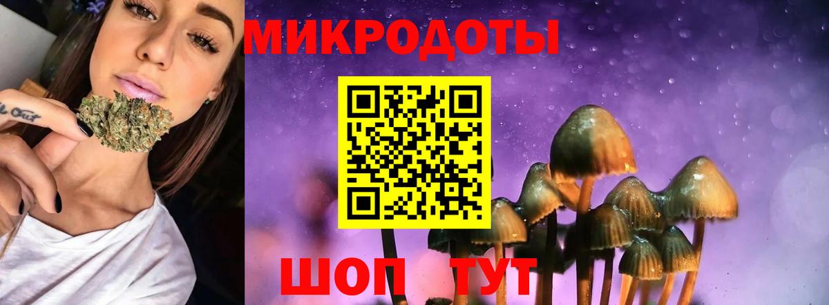 Псилоцибиновые грибы GOLDEN TEACHER Сокол